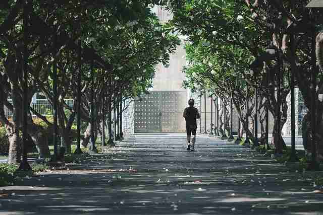 热度飙升！黑料社app下载官网曝光新内容引关注（177 ）